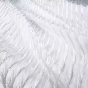 Tkanina ślubna, żakard, arktyczna biel, z wystającymi nitkami, efekt piórek