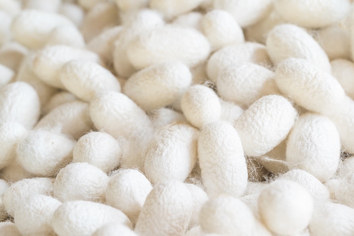 silk cocoon that is processed to yield silk fiber 2021 08 26 17 19 48 utc 1