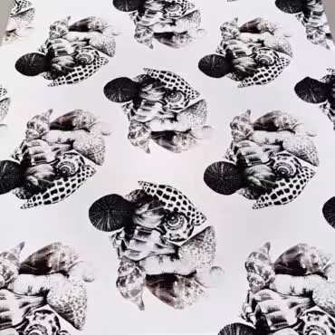 cienka bawelna w muszle i jezowce bialo-czarnaB