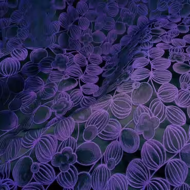 zakard markowy fiolet na granacie motyw roslinnyC