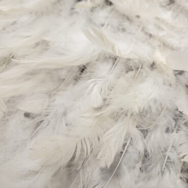 tkanina pióra naturalne na tiulu białe off-white
